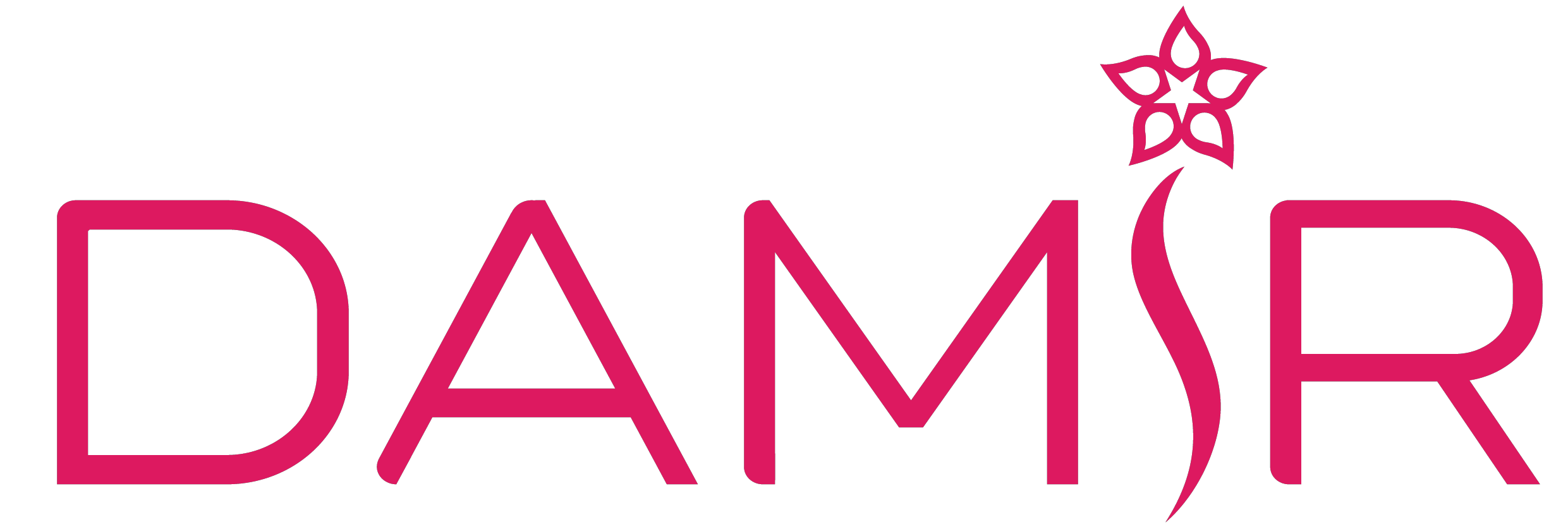 Logo DAMIR